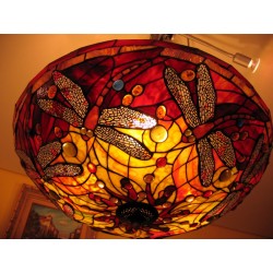 Swirling Dragonfly WP7/50